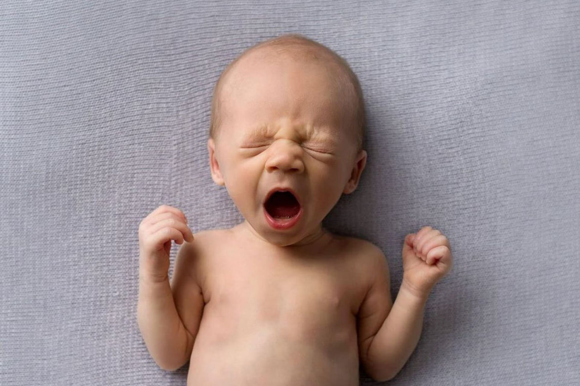 Newborn Day-Night Confusion